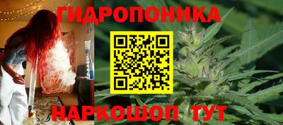 apvp Краснознаменск