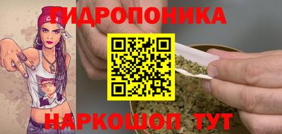 тгк Краснодар