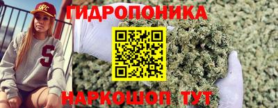 эйфоретик Краснокаменск