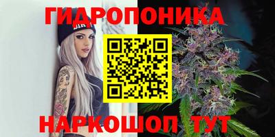 эйфоретик Краснокаменск