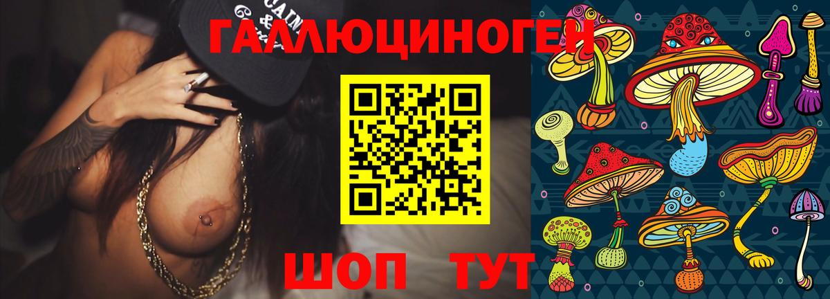 Псилоцибиновые грибы GOLDEN TEACHER Елизово