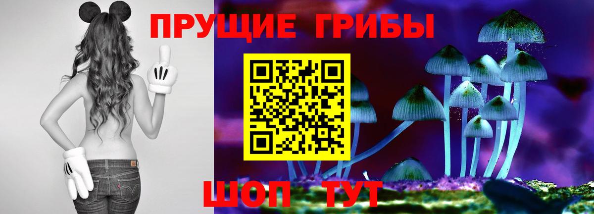 где купить   Вход с VPN  Елизово  Псилоцибиновые грибы Psilocybine cubensis 